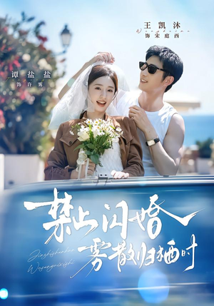 禁止闪婚,雾散归栖时(66集) 禁止闪婚,雾散归栖时(66集)在线看免费版