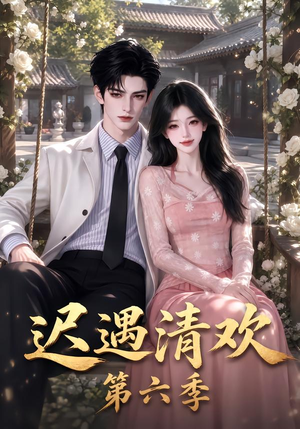 迟遇清欢第六季（92集）全集一网打尽