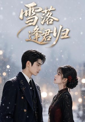 雪落逢君归（116集）全集在线看