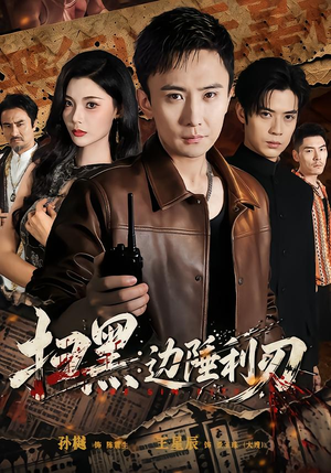 扫黑：边陲利刃（73集）在线免费观影