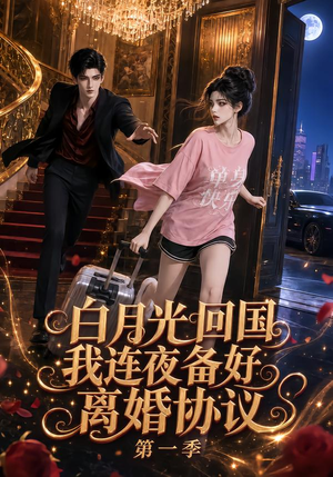白月光回国我连夜备好离婚协议第一季（98集）网上可以看吗