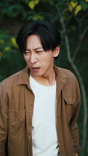 年代：林峰寻妻记（95集）免费短剧就是爽