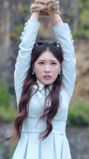 冰山美女的近身傻婿（88集）免费在线看全集