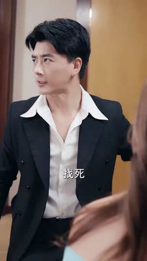 枭雄崛起,从打工仔到江湖大佬第二季(88集) 枭雄崛起,从打工仔到江湖大佬第二季(88集)小短剧推荐
