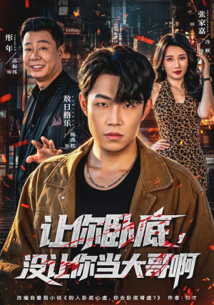 让你卧底，没让你当大哥啊（80 集）真的好看吗