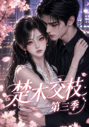 楚木交枝第三季（167集）高清画质免费看