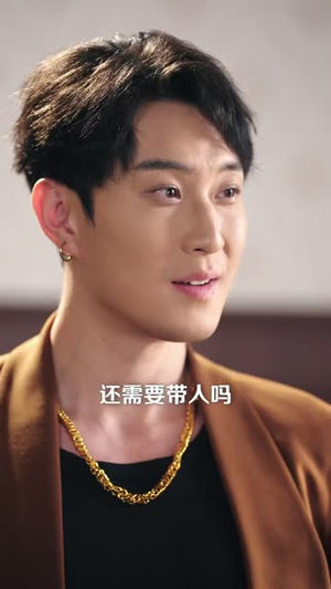 我的传奇（80 集）热门短剧在线看