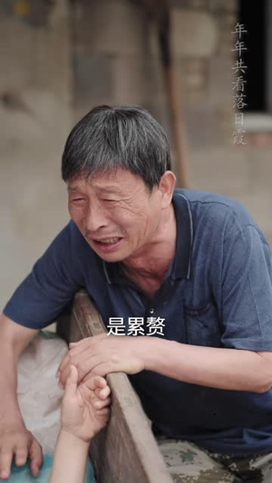 老姐妹（80 集）火爆短剧来袭