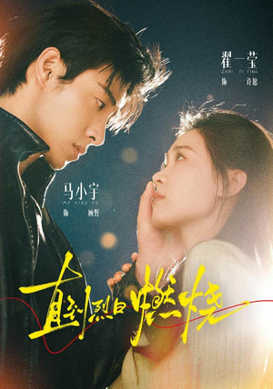 直到烈日燃烧（63 集）女主谁演的