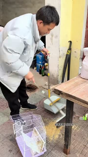 盼望第三季（55 集）短剧精彩不断