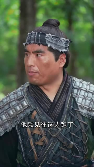 大魏风华（62 集）精彩短剧随心推
