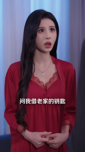 空房里的秘密（23 集）在线免费观影