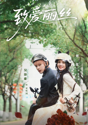 致爱丽丝（63 集）夸克在线观看