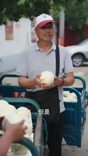 田埂上的向阳花（53 集）短剧解说全集