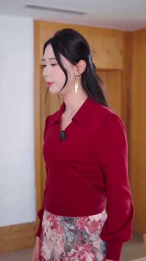 双重身份（21 集）短剧小说在线看