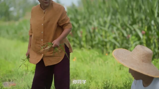 守心(13 集) 守心(13 集)一共多少集