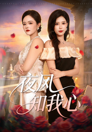 夜风知我心（32 集）好看到停不下来