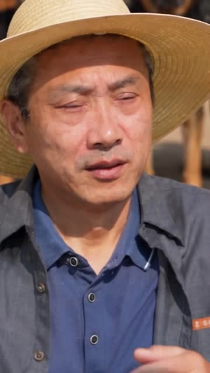 村口看人低（67 集）短剧在线观看